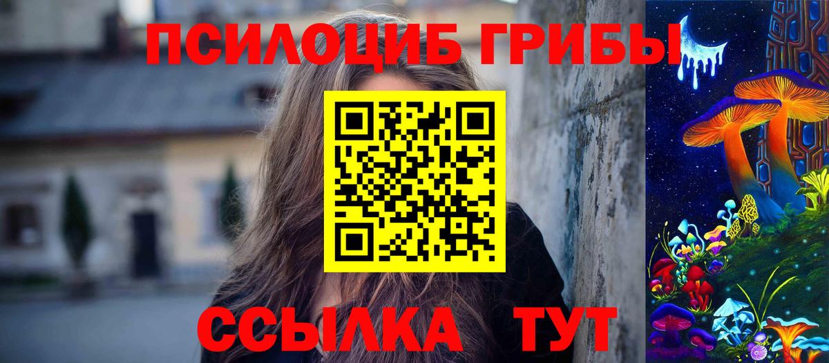 Калач-на-Дону  Псилоцибиновые грибы мицелий  Псилоцибиновые грибы Cubensis  Вход с VPN 